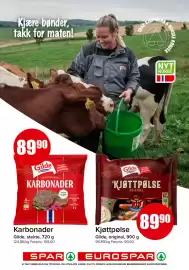 Eurospar kundeavis uke 23 Side 5