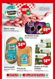 Eurospar kundeavis uke 23 Side 8
