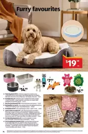 ALDI catalogue week 24 Page 14