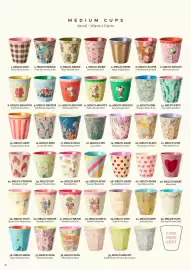 Rice catalogue Page 100