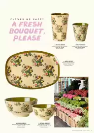 Rice catalogue Page 13