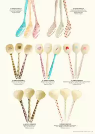 Rice catalogue Page 41