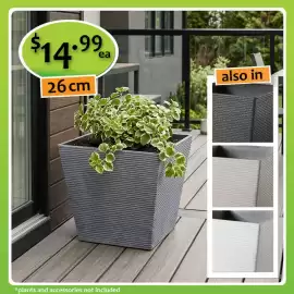 Shiploads catalogue Page 11