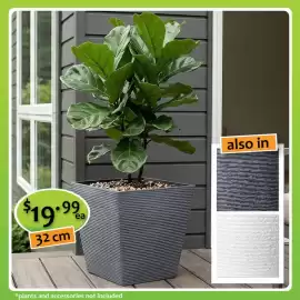 Shiploads catalogue Page 12