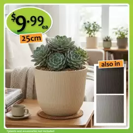 Shiploads catalogue Page 8