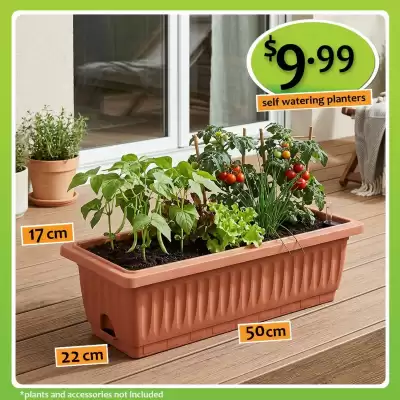 Shiploads catalogue (valid until 30-06)