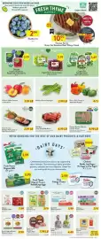 Fresh Thyme weekly ad week 23 Page 2