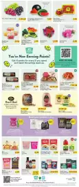 Fresh Thyme weekly ad week 23 Page 4