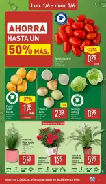 Folleto ALDI semana 23 Página 3