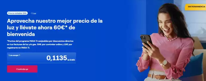 Folleto ENDESA Página 1
