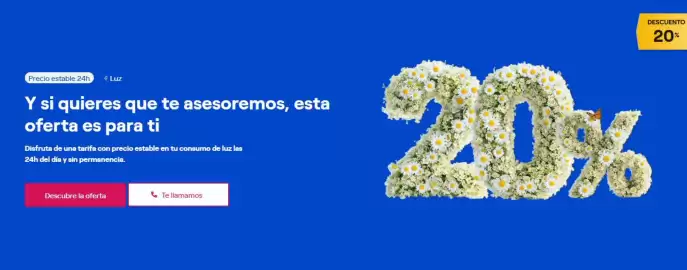Folleto ENDESA Página 2