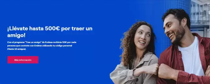 Folleto ENDESA Página 3