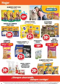 Folleto Farmacias Guadalajara Página 4