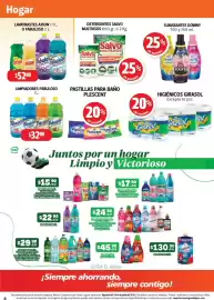 Folleto Farmacias Guadalajara Página 6