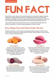 CORNETTS catalogue Page 16