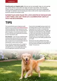 CORNETTS catalogue Page 64