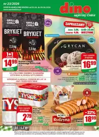 Dino gazetka tydzień 23 Strona 1