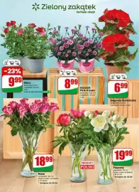 Dino gazetka tydzień 23 Strona 57
