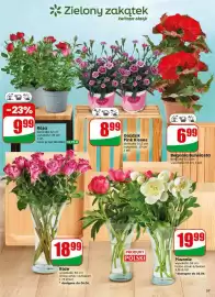 Dino gazetka tydzień 23 Strona 57