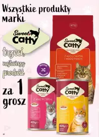 Dino gazetka tydzień 23 Strona 66