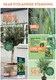 Plantorama tilbudsavis Side 7