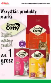 Dino gazetka tydzień 23 Strona 5
