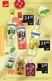 Polomarket gazetka Strona 22
