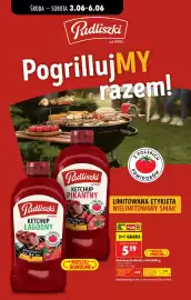 Biedronka gazetka tydzień 23 Strona 48