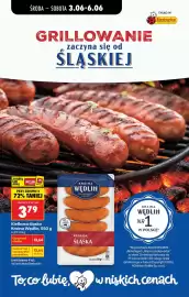 Biedronka gazetka tydzień 23 Strona 49