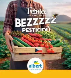 Albert leták Strana 28