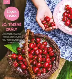Albert leták Strana 72