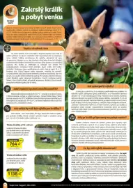 Super Zoo leták Strana 12