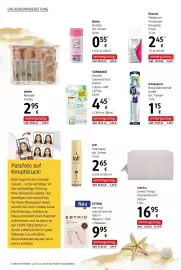 Dm Flugblatt Seite 14