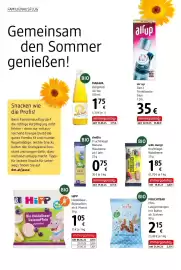 Dm Flugblatt Seite 20