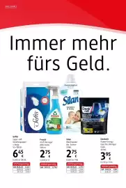 Dm Flugblatt Seite 22