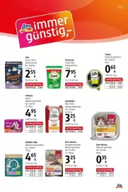 Dm Flugblatt Seite 23