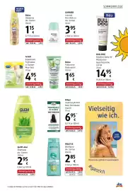 Dm Flugblatt Seite 7