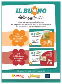 Volantino Conad Margherita Pagina 19