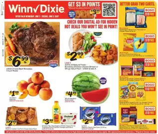 Winn Dixie weekly ad week 23 Page 1