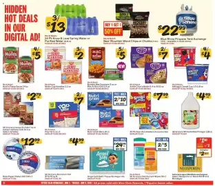 Winn Dixie weekly ad week 23 Page 10