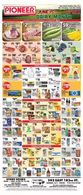 Pioneer (valid until 6-06)