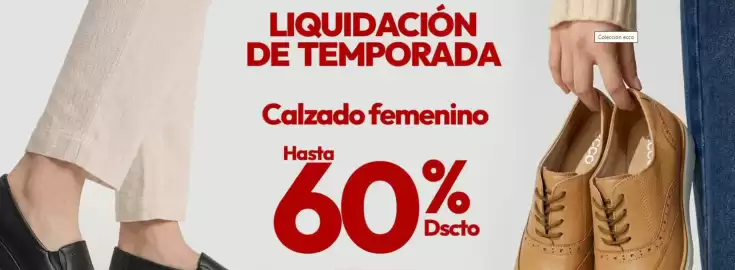 Catálogo Ecco Página 1
