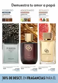 Catálogo Oriflame Página 24