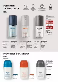 Catálogo Natura Página 119