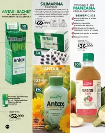 Catálogo Dolce Catálogos Página 114