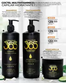 Catálogo Dolce Catálogos Página 122