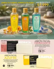 Catálogo Dolce Catálogos Página 130