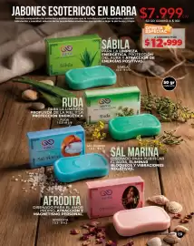 Catálogo Dolce Catálogos Página 131