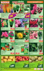 Catalogue Norma semaine 24 page 4