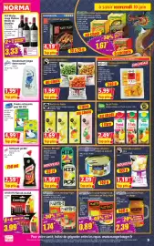 Catalogue Norma semaine 24 page 9